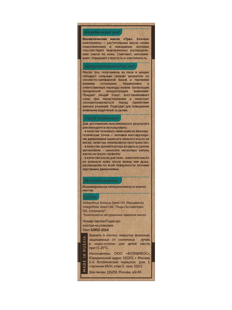 Для концентрации внимания «Туя»