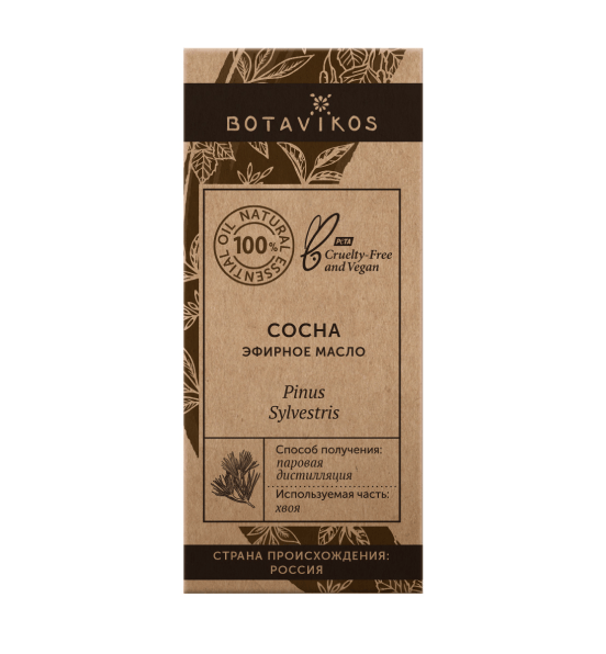 Сосна Pinus Sylvestris 