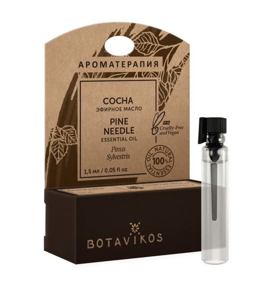 Сосна Pinus Sylvestris 