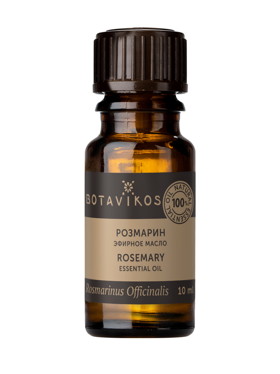 Розмарин Rosmarinus Officinalis 