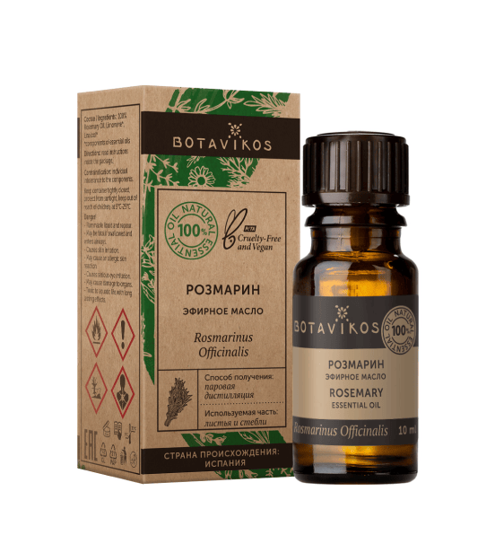 Розмарин Rosmarinus Officinalis 