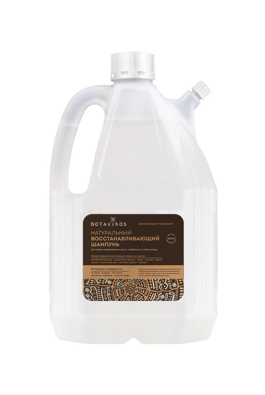 Натуральный восстанавливающий шампунь Aromatherapy Recovery для сильно поврежденных волос