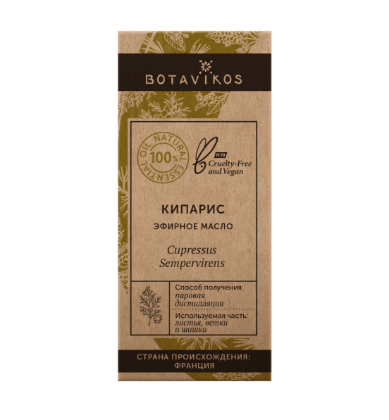 Кипарис Cupressus Sempervirens 