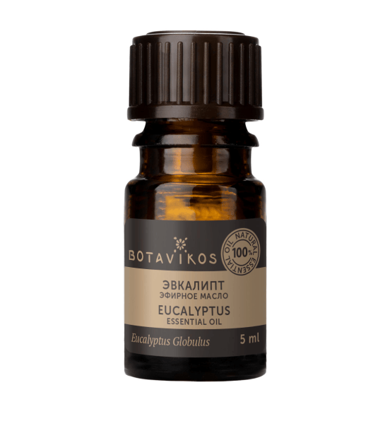 Эвкалипт Eucalyptus Globulus