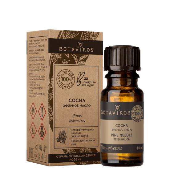 Сосна Pinus Sylvestris 