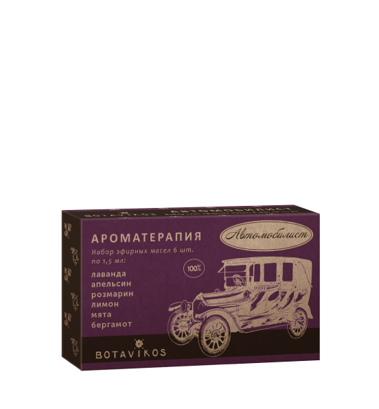 Автомобилист