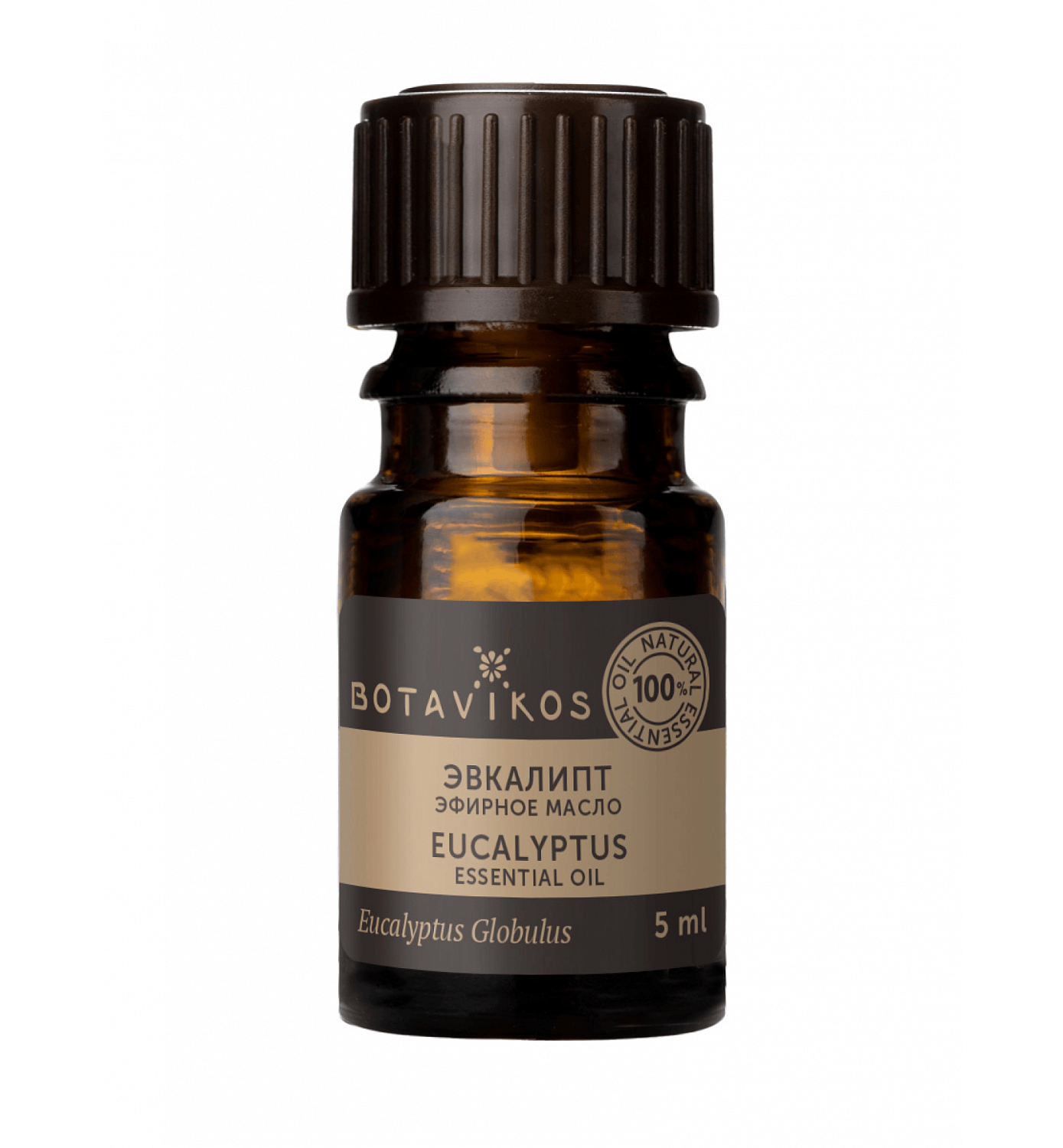 Эвкалипт Eucalyptus Globulus