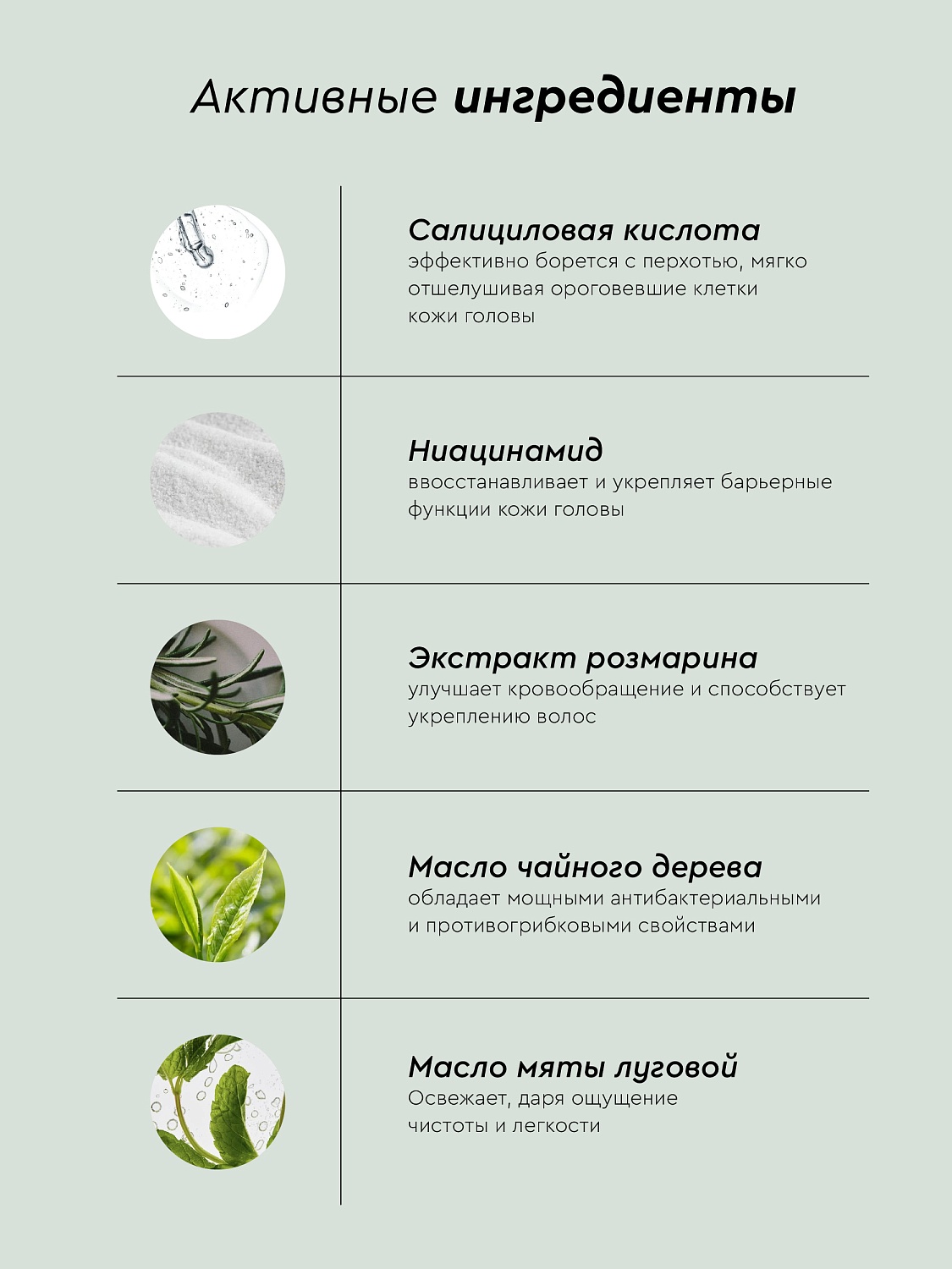 Шампунь-кондиционер  СВЕЖАЯ МЯТА против перхоти