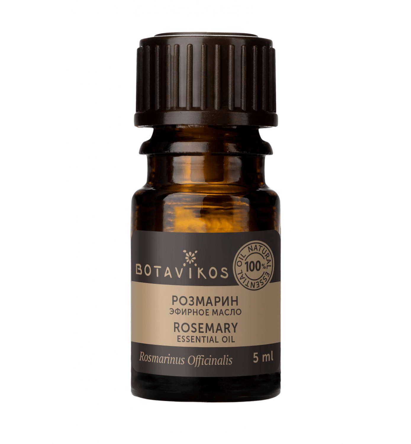 Розмарин Rosmarinus Officinalis 