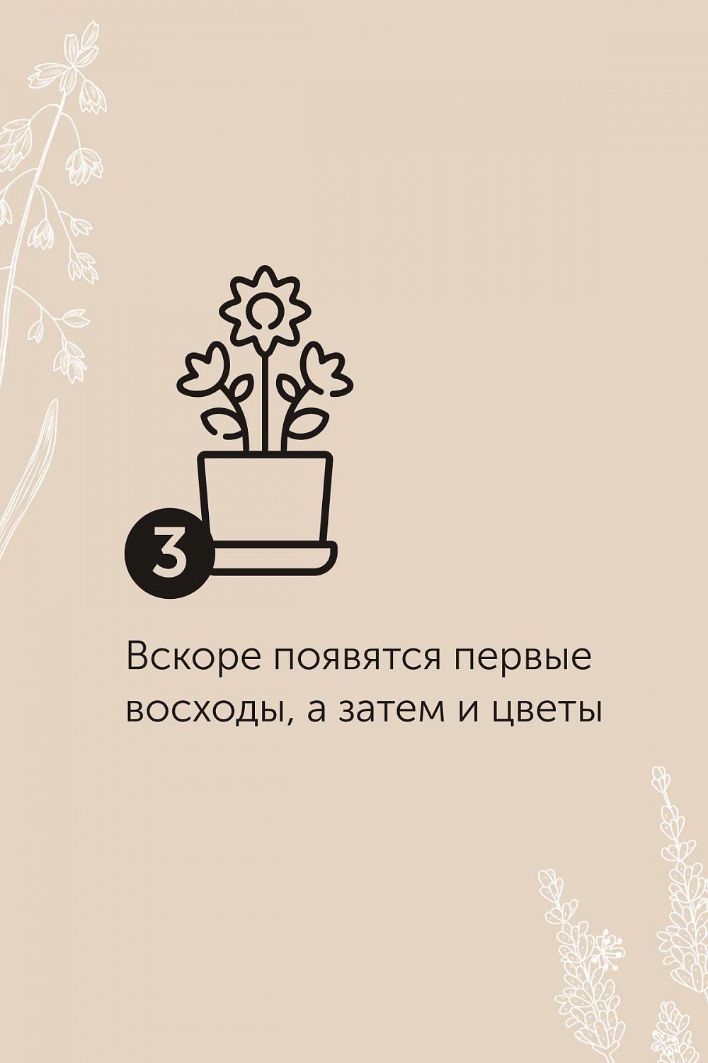 Открытка "Замечать и удивляться"