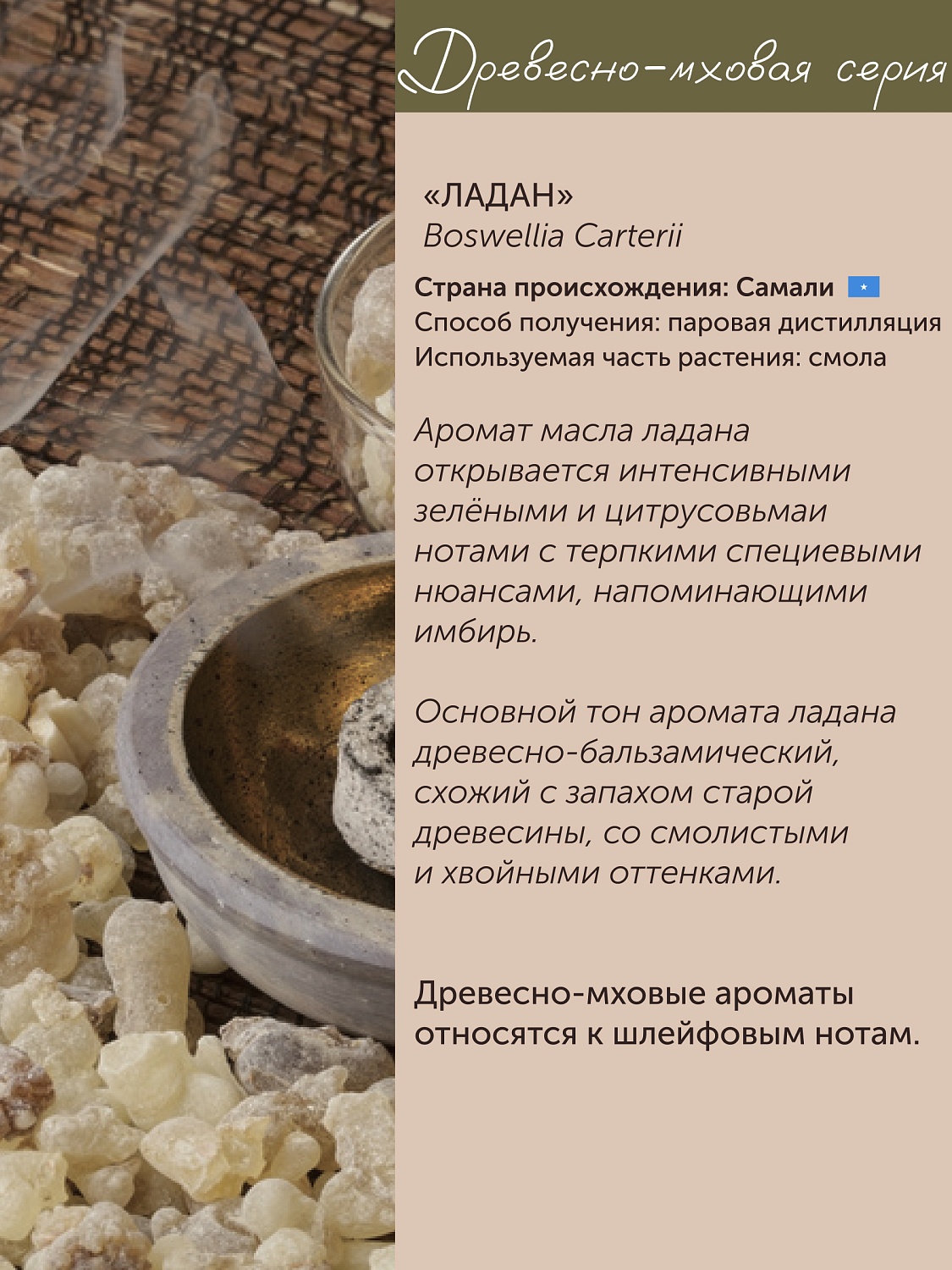  Ладан Boswellia Carterii