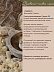  Ладан Boswellia Carterii