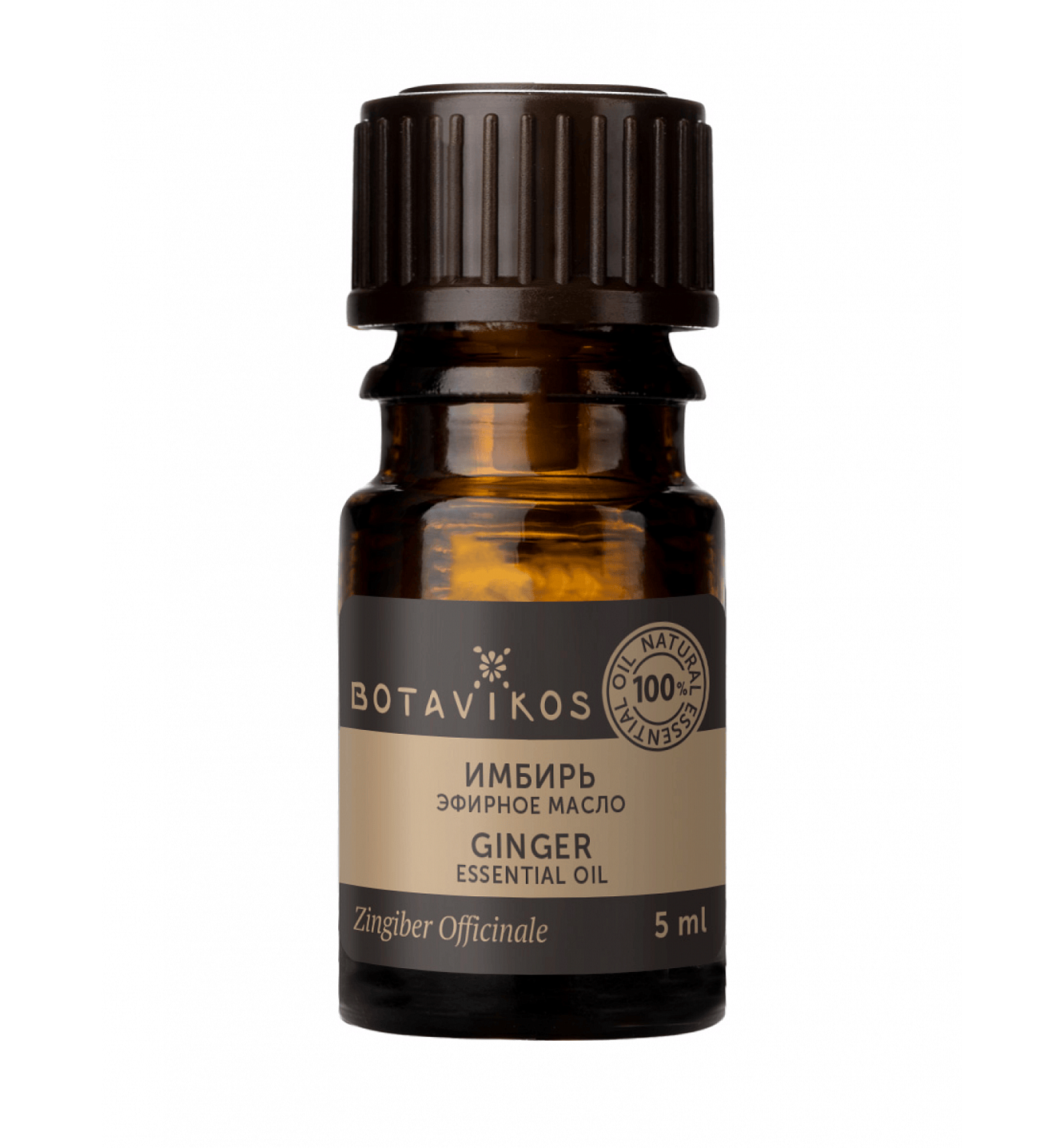 Имбирь Zingiber Officinale 