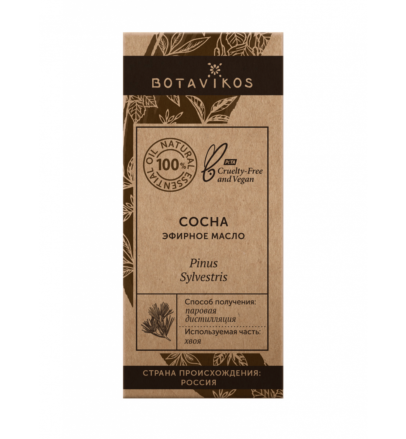 Сосна Pinus Sylvestris 