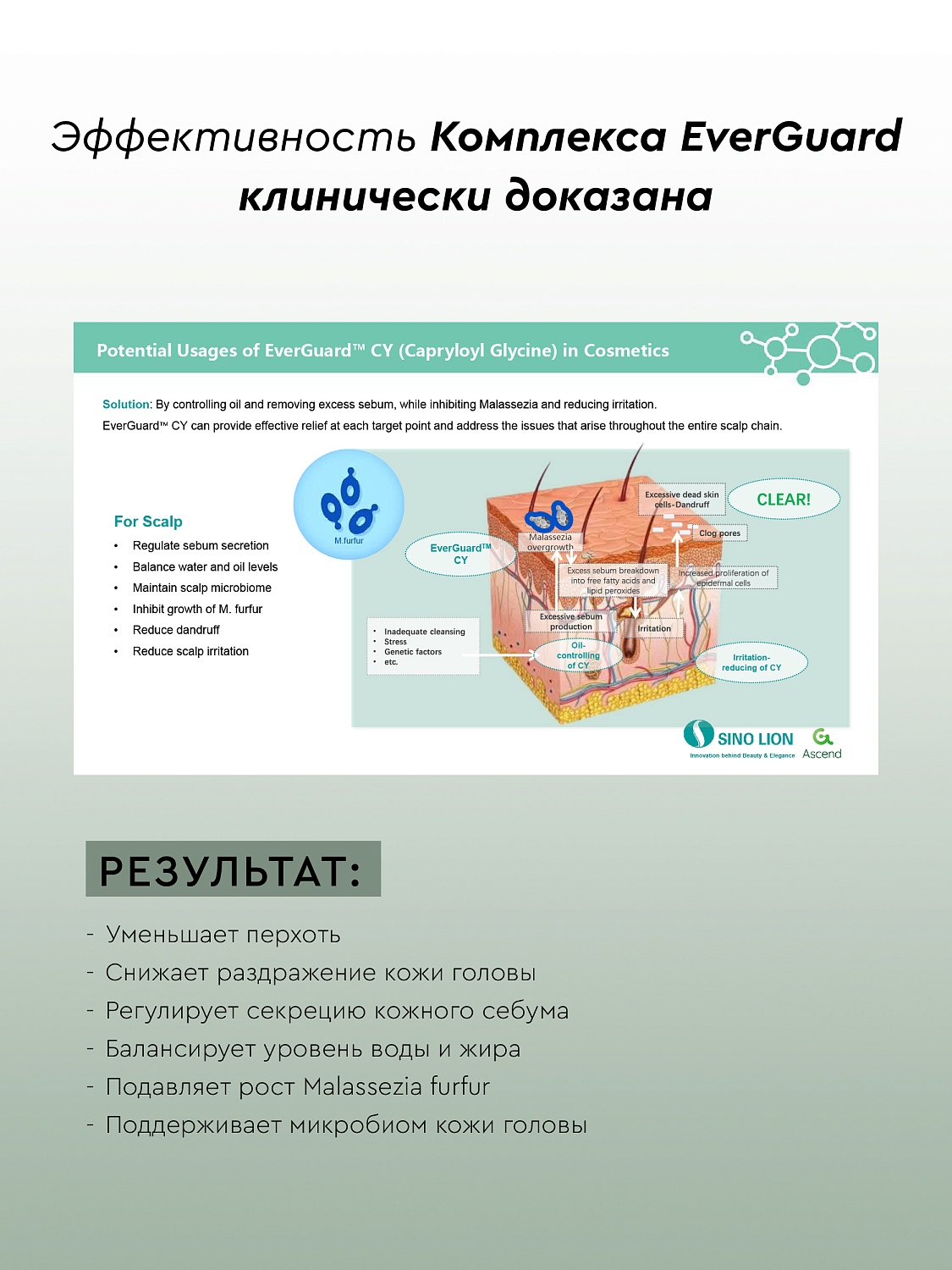 Шампунь-кондиционер  СВЕЖАЯ МЯТА против перхоти