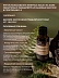 Чайное дерево Melaleuca Alternifolia 