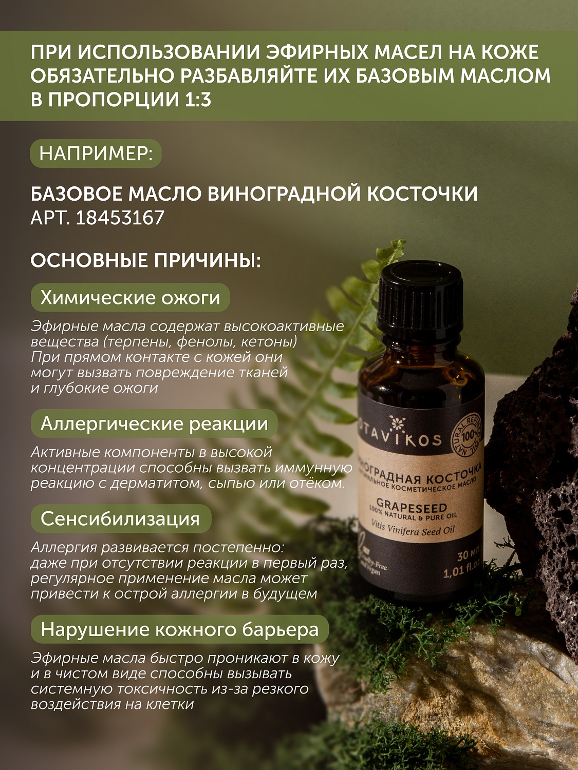 Розмарин Rosmarinus Officinalis 