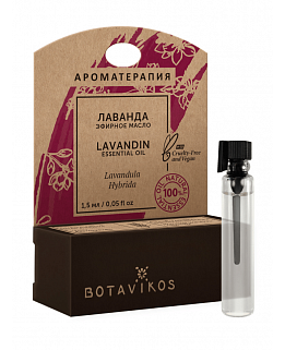 Лаванда Lavandula Hybrida