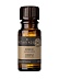 Вербена Lippia Citriodora