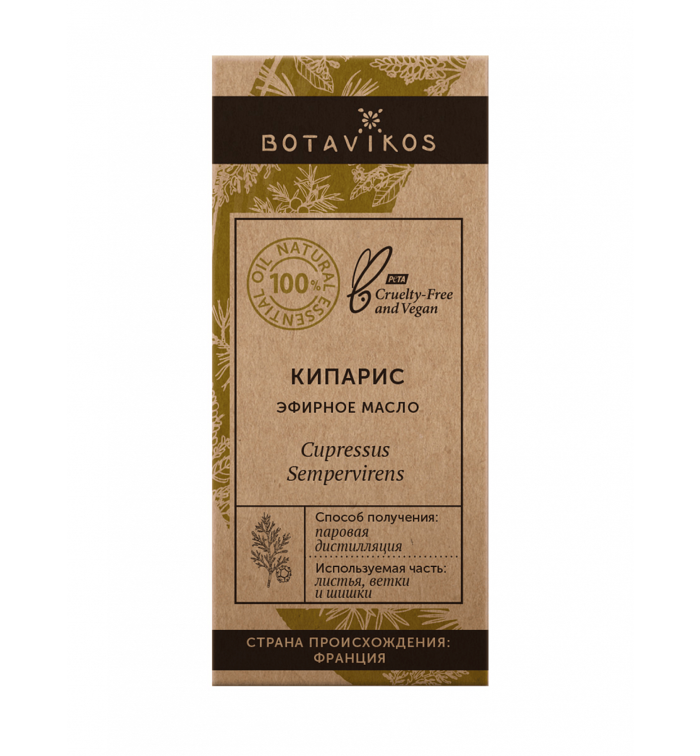 Кипарис Cupressus Sempervirens 