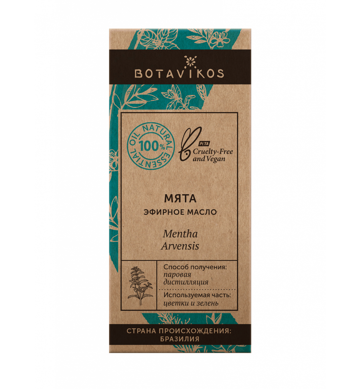 Мята Mentha Arvensis