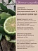 Бергамот Citrus Aurantium Bergamia