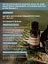 Грейпфрут Citrus Paradisi 