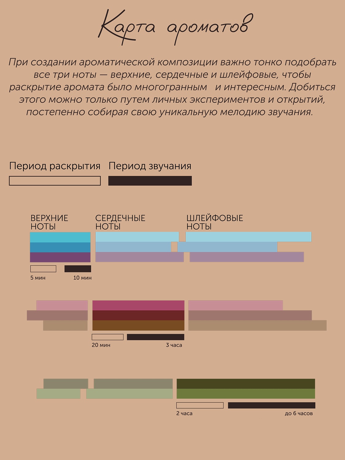 Розмарин Rosmarinus Officinalis 