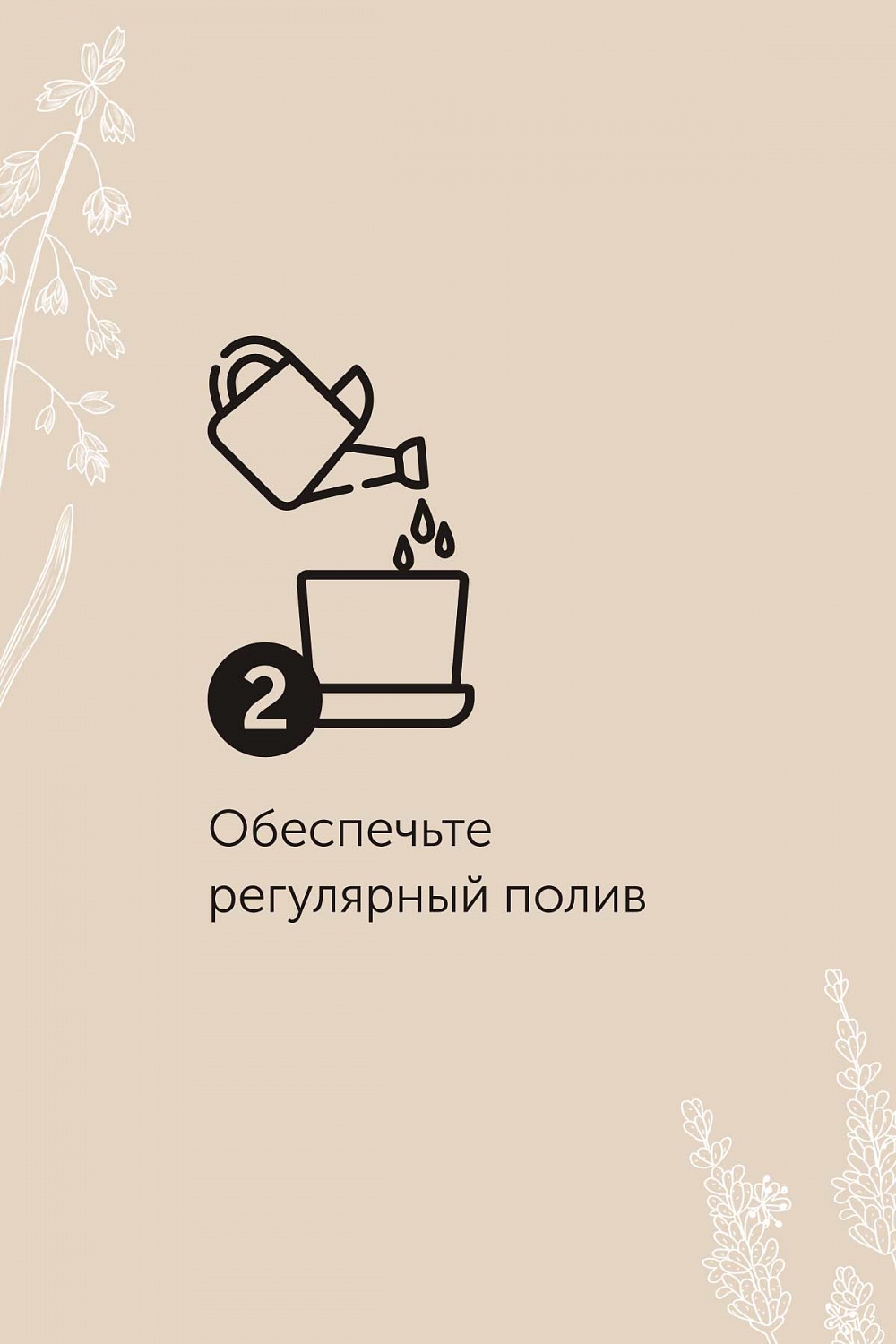 Открытка "Истина - истинно любить"