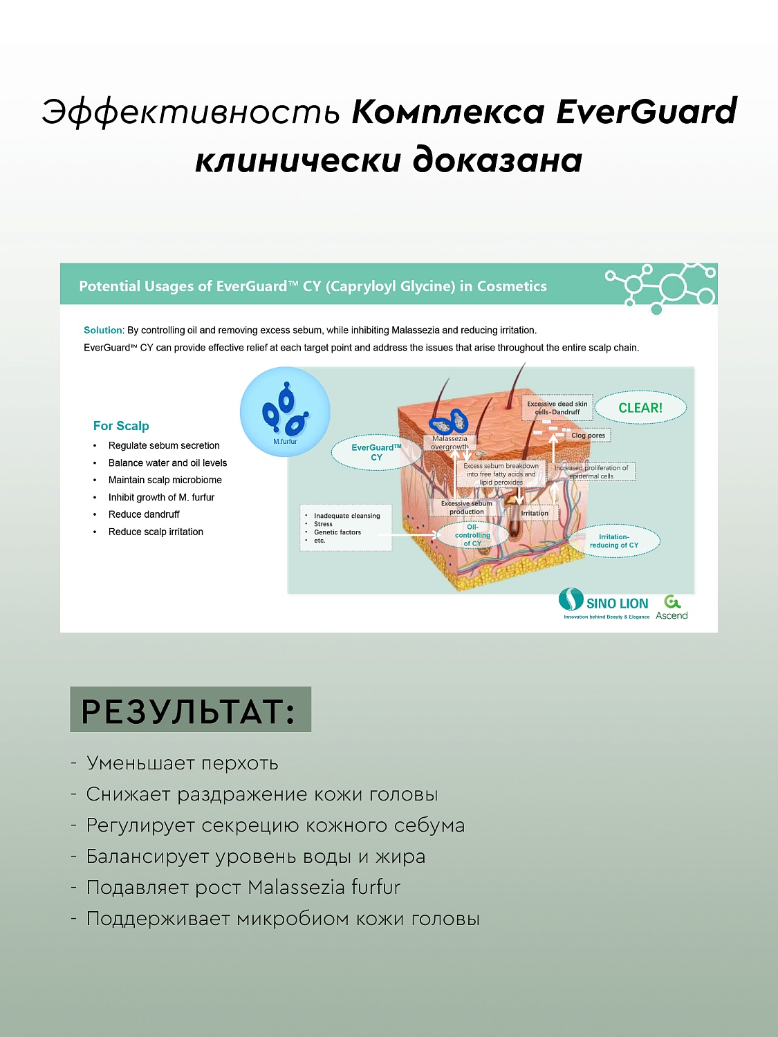 Шампунь-кондиционер  СВЕЖАЯ МЯТА против перхоти